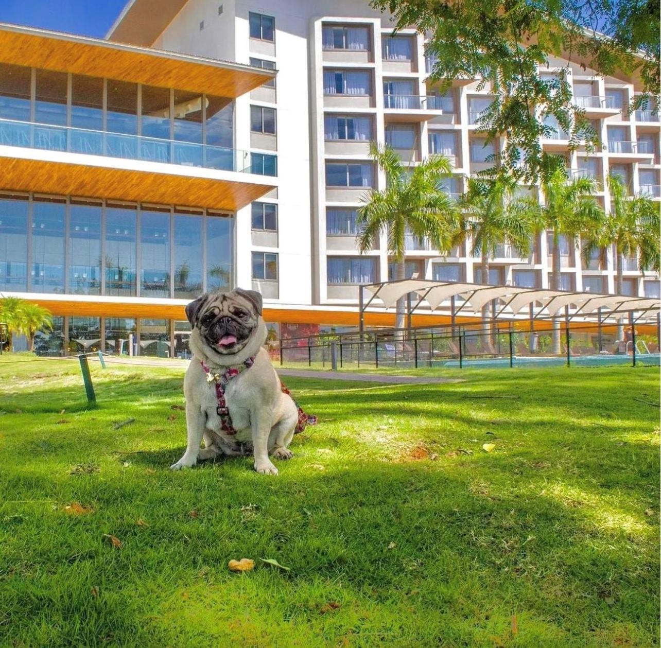 Novotel Itu Terras De Sao Jose Golf & Resort Экстерьер фото